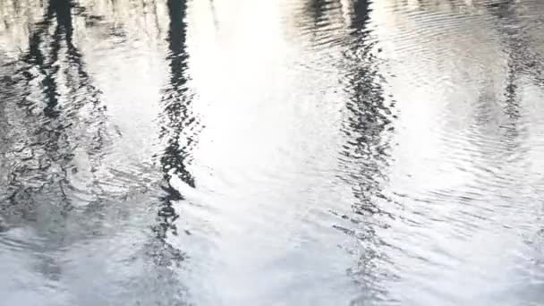 Reflejo Paisaje Atardecer Río Montañoso Que Fluye — Vídeo de stock