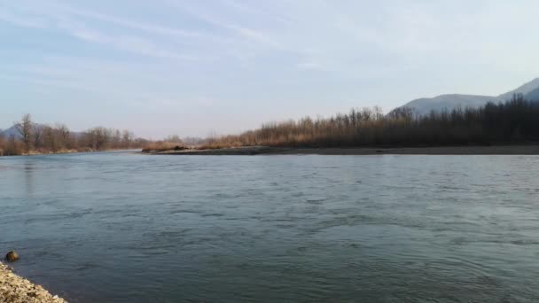 Voll Fließender Gebirgsfluss Den Karpaten — Stockvideo