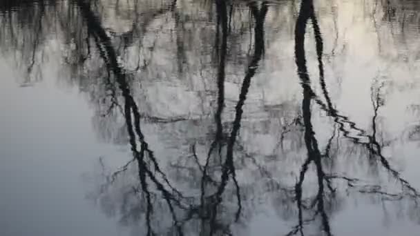 Spiegelbild Einer Sonnenuntergangslandschaft Einem Voll Fließenden Gebirgsfluss — Stockvideo