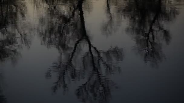 Reflektion Ett Solnedgångslandskap Översvämmande Bergsflod — Stockvideo