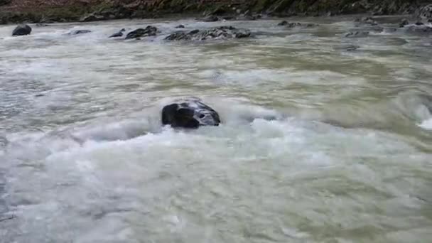 Rzeka Górska Zimą Wypełniona Minerałami Glebowymi — Wideo stockowe