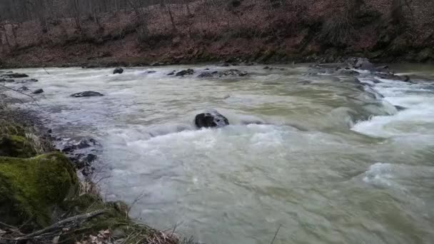 Kışın Dağ Nehri Toprak Mineralleriyle Doludur — Stok video