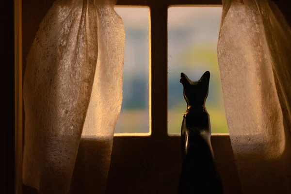 Metaphorical Still Life Waiting Cat Window — Stock Photo, Image