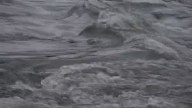 Karpat Dağları 'nda akan dağ nehri