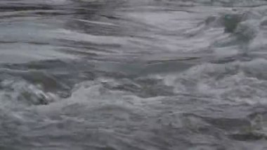 Karpat Dağları 'nda akan dağ nehri