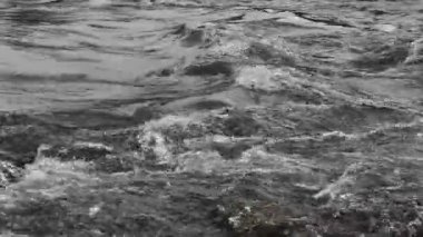 Karpat Dağları 'nda akan dağ nehri
