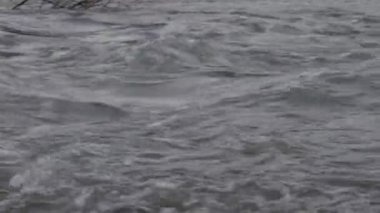 Karpat Dağları 'nda akan dağ nehri