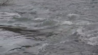 Karpat Dağları 'nda akan dağ nehri