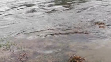 Karpat Dağları 'nda akan dağ nehri