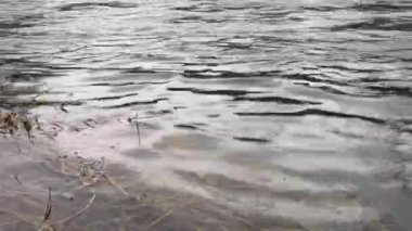 Karpat Dağları 'nda akan dağ nehri