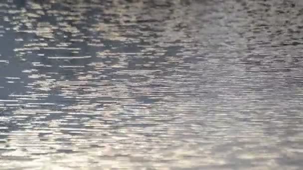 山の湖の水の穏やかな表面 — ストック動画