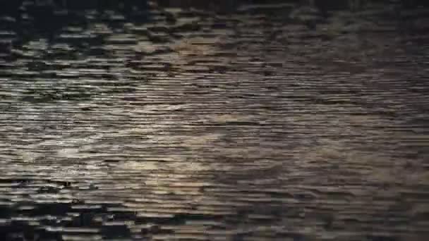 Calm Surface Water Mountain Lake — Stockvideo