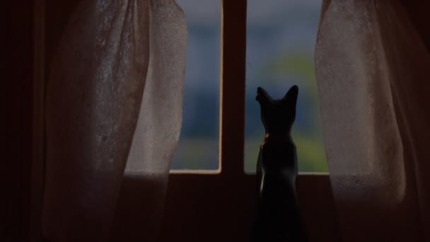 Bodegón Metafórico Esperando Gato Junto Ventana — Vídeos de Stock