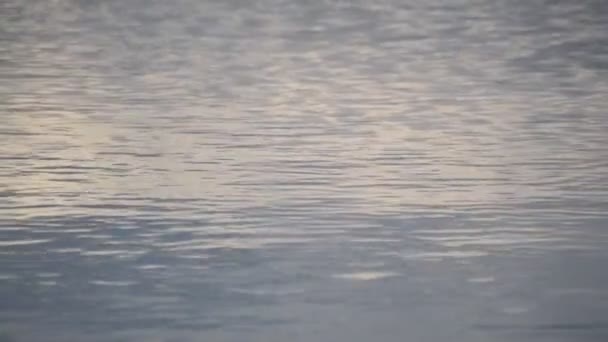 Bir Dağ Gölünün Sularının Sakin Yüzeyi — Stok video