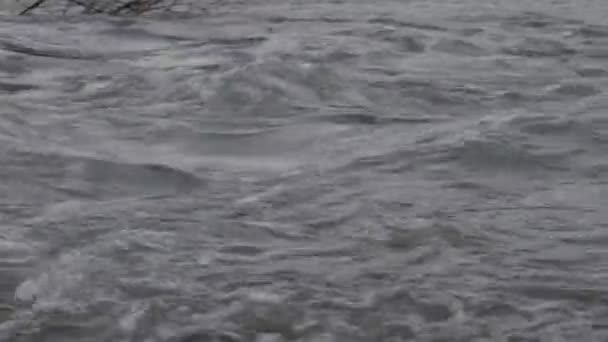 Rivière de montagne qui coule dans les Carpates