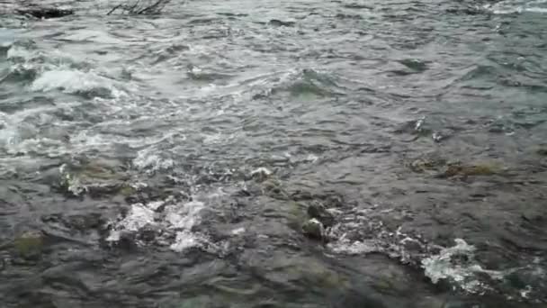 Потік Гірської Річки Карпатських Горах — стокове відео