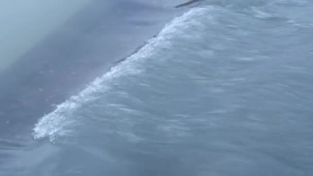 Doğal Bir Şelalenin Köpüren Suları — Stok video