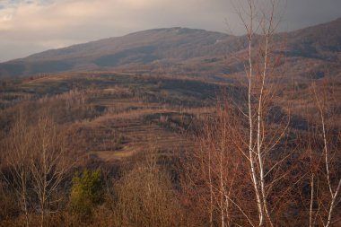 Baharda gün batımı Karpat Dağları