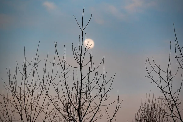 Landschap Met Volle Maan Bergen — Stockfoto