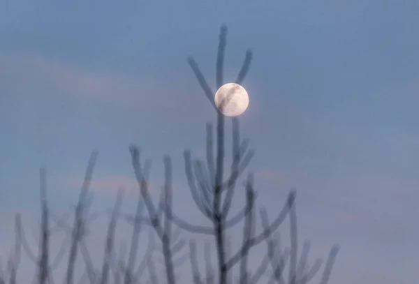 Paisagem Com Lua Cheia Nas Montanhas — Fotografia de Stock