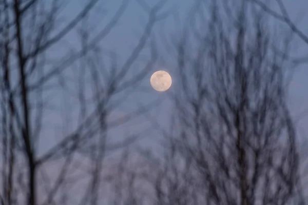 Paysage Avec Une Pleine Lune Dans Les Montagnes — Photo