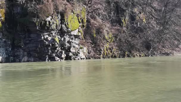 Vol Stromende Bergrivier Het Karpaten Gebergte — Stockvideo