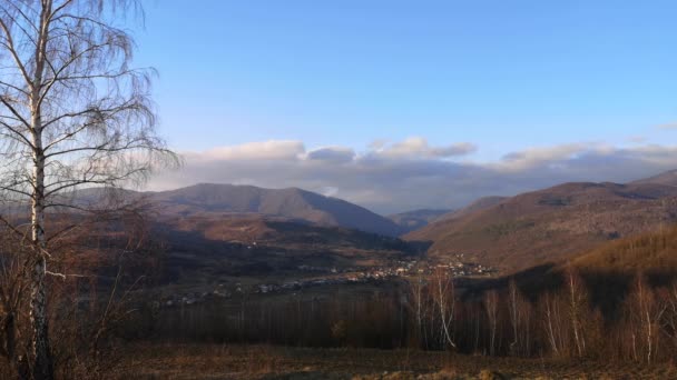 Paysage Printanier Énorme Bouleau Dans Vent Dans Les Carpates — Video