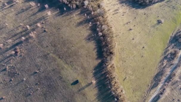 カルパチア山脈でのSuv旅行の空中ショット — ストック動画