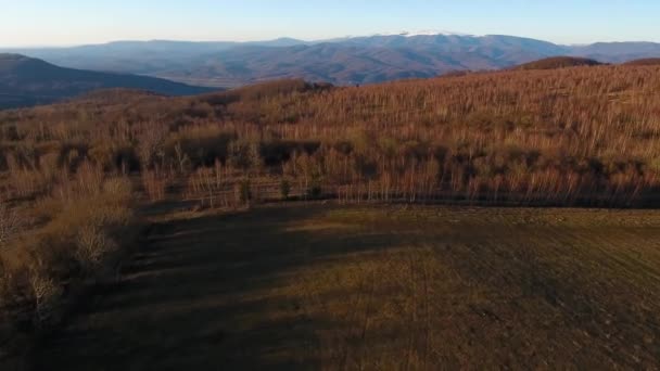 Karpatya Dağlarında Havadan Çekim — Stok video
