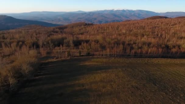 Scatto Aereo Sulle Montagne Dei Carpazi — Video Stock