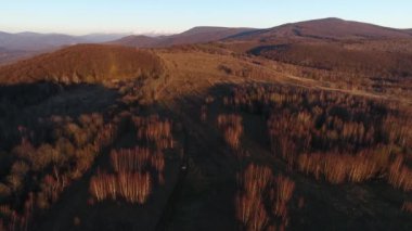 Karpatya dağlarında seyahat eden bir SUV 'un hava görüntüsü