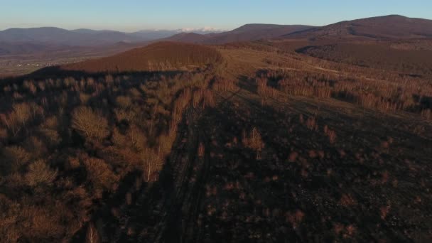 Foto Aérea Viaje Suv Las Montañas Cárpatos — Vídeo de stock