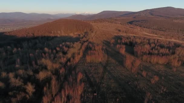 Снимок Воздуха Внедорожника Карпатах — стоковое видео