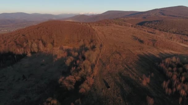 Foto Aerea Suv Che Viaggia Tra Montagne Dei Carpazi — Video Stock