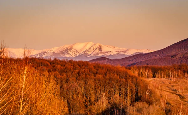 Tramonto Primavera Montagne Carpatiche — Foto Stock