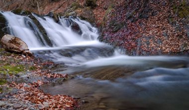 Bahar Dağı ormanında fırtınalı şelale