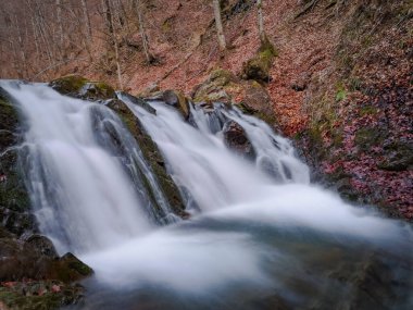 Bahar Dağı ormanında fırtınalı şelale