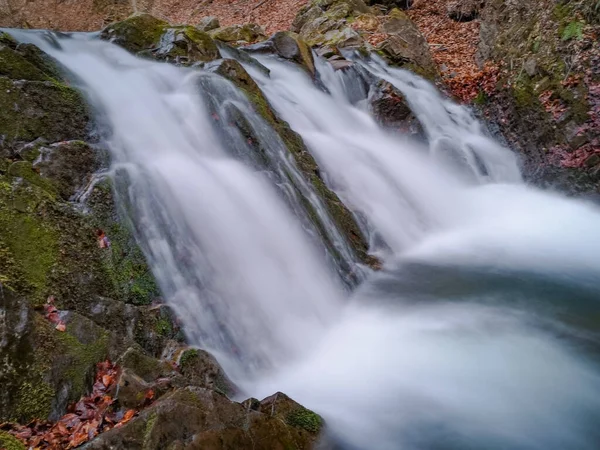 Cascade Orageuse Dans Forêt Montagne Printanière — Photo