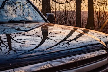 Bahar Dağı ormanında bir cip.