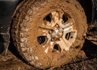 Manzaranın adı Dağlarda 