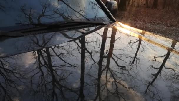 Suv Dans Forêt Montagne Printemps — Video