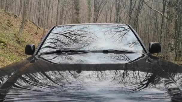 Suv Bosque Montaña Primavera — Vídeo de stock