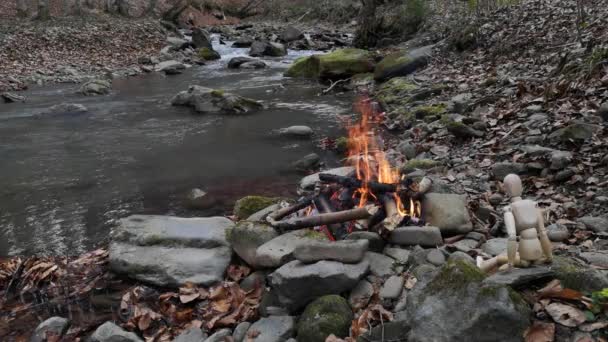 Bir Dağ Nehrinin Kıyısında Kendini Ateşle Isıtan Konuşkan Küçük Bir — Stok video