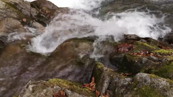 Cascada Tormentosa Bosque Montaña Primavera — Vídeo de stock