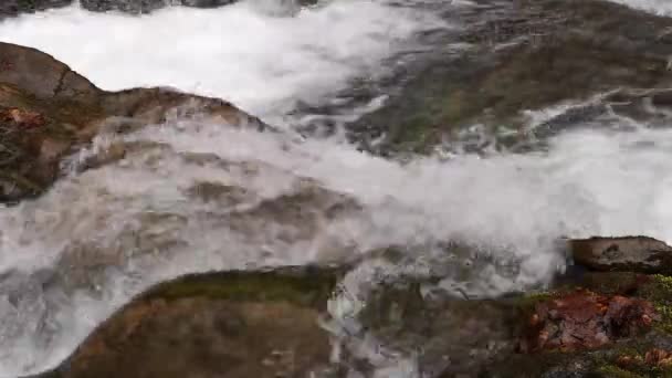 Stormachtige Waterval Het Voorjaar Bergbos — Stockvideo