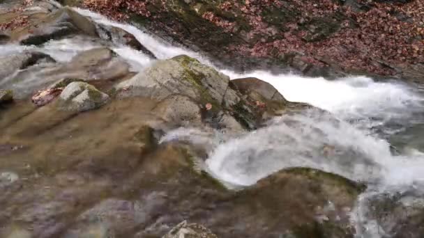 Stürmischer Wasserfall Frühling Bergwald — Stockvideo