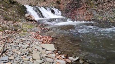 Bahar Dağı ormanında fırtınalı şelale