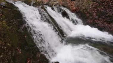 Bahar Dağı ormanında fırtınalı şelale