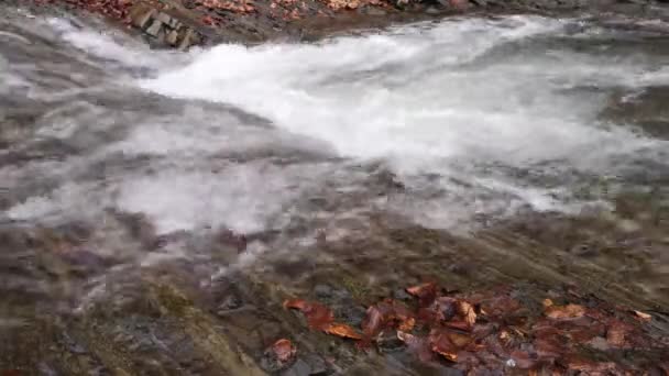 Viharos Vízesés Tavaszi Hegyi Erdőben — Stock videók