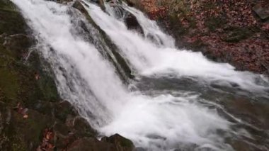 Bahar Dağı ormanında fırtınalı şelale